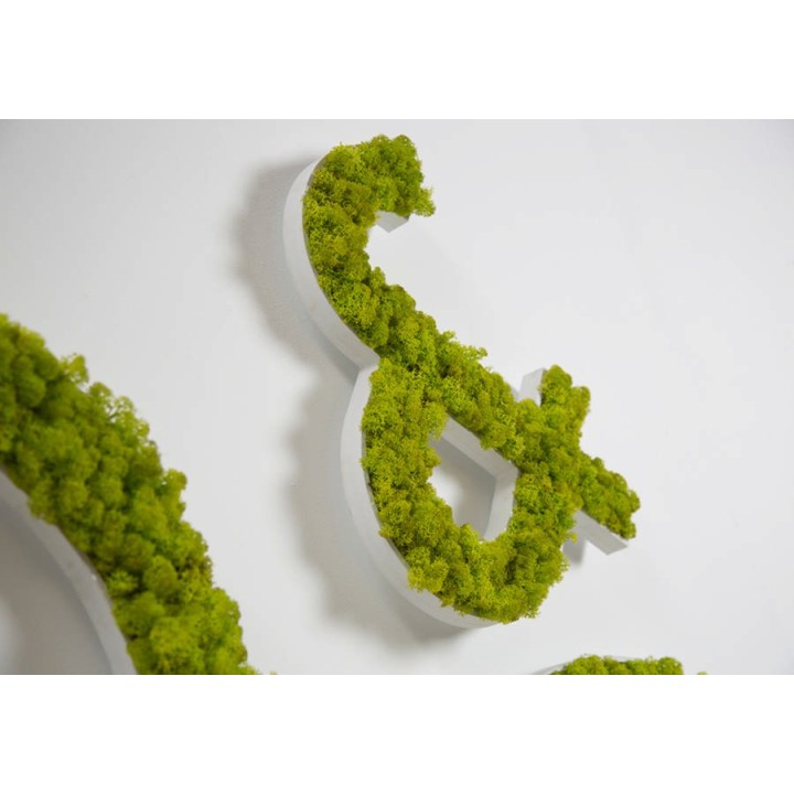 Lettres végétales